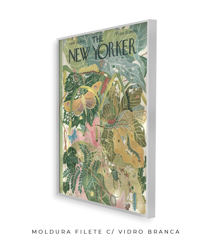 The New Yorker- June, 23
