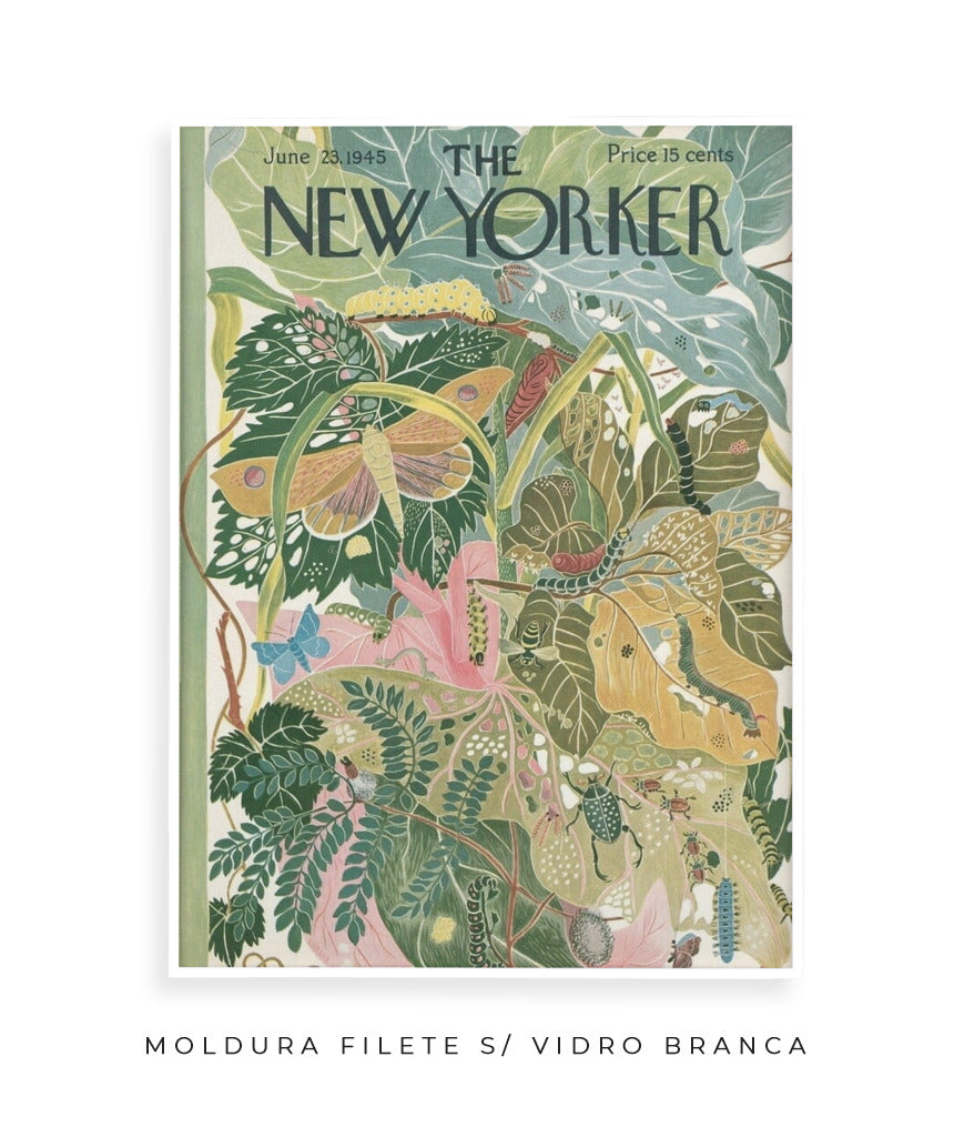 The New Yorker- June, 23