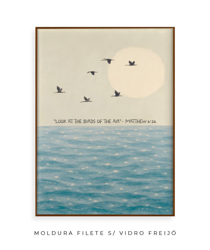 Look at the birds of the air- Mateus 6:26