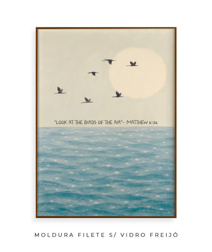 Look at the birds of the air- Mateus 6:26