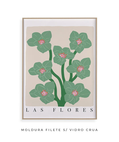 Las Flores Nº2