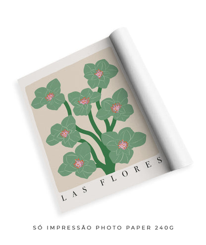 Las Flores Nº2