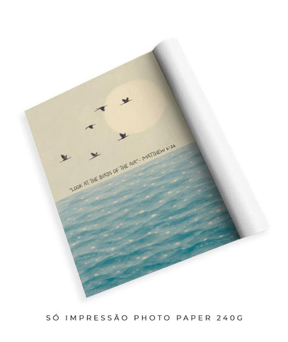 Look at the birds of the air- Mateus 6:26