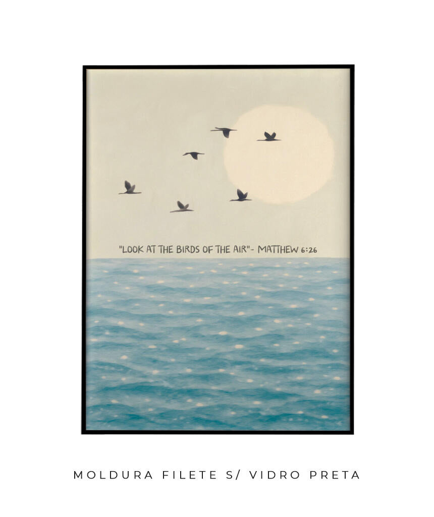 Look at the birds of the air- Mateus 6:26