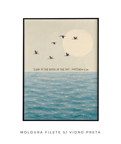 Look at the birds of the air- Mateus 6:26